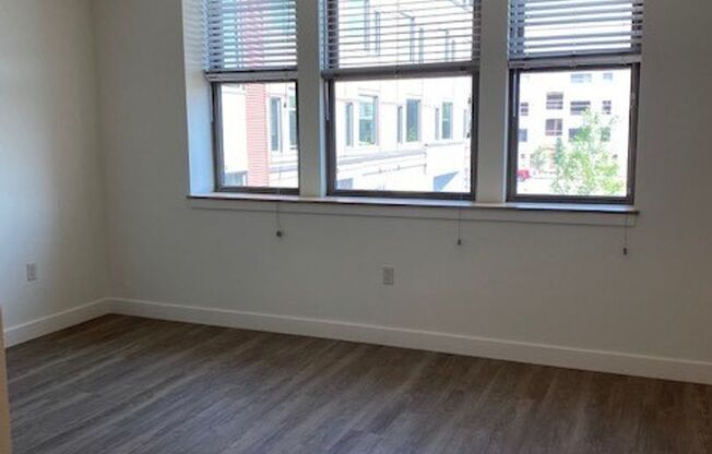 Studio, 1 bath, 425 sqft, $1,700, Unit 208