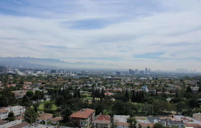 1 bed, 1 bath, 832 sqft, $4,450, Unit 1101