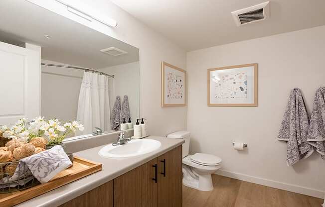 our apartments offer a bathroom with a shower at QUINN BY VINTAGE, Washington