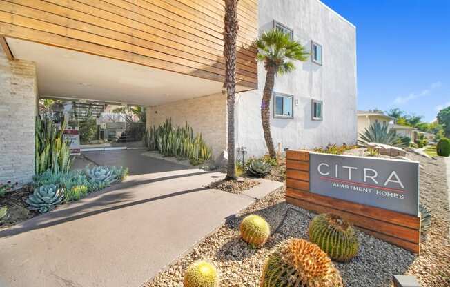 the entrance to cimarron apartment homes with cactus and other plants