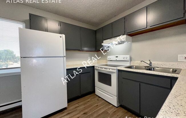 1 bed, 1 bath, 449 sqft, $975