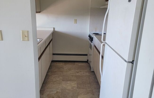 1 bed, 1 bath, 528 sqft, $740, Unit 1225