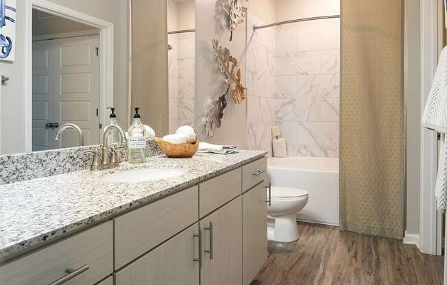 a bathroom with a sink and a toilet and a shower