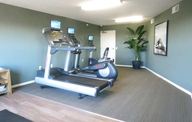 the fitness room has a treadmill and a potted plant
