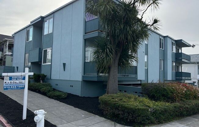 2 Bedroom 1 Bath, in the Gourmet Ghetto Area.