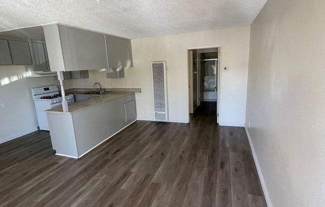 1 bed, 1 bath, 546 sqft, $1,795, Unit 203