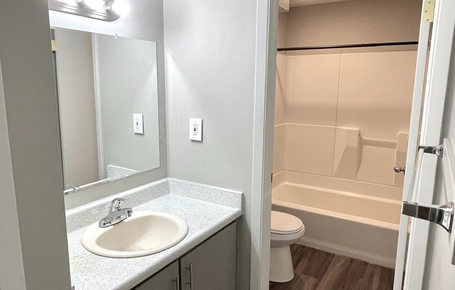 Bathroom and Vanity Space