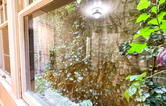 Studio, 1 bath, 365 sqft, $1,095, Unit 106