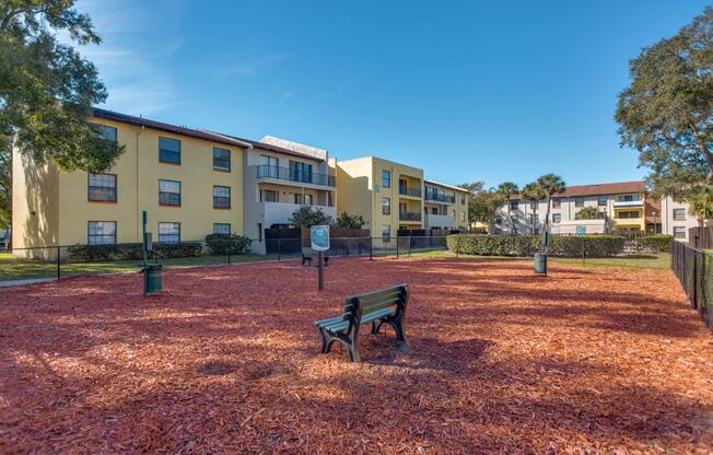 Belara Lakes Apartments in Tampa Florida photo of leash free dog park