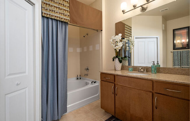 a bathroom with a tub and a sink and a mirror