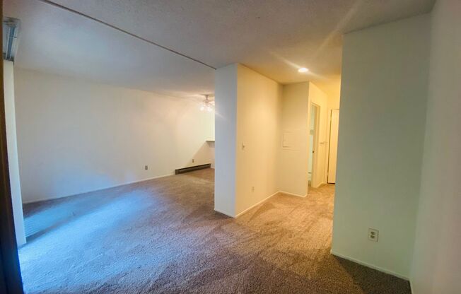 Studio, 1 bath, $1,780