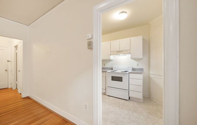 1 bed, 1 bath, 510 sqft, $1,750, Unit 303