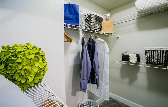 a walk in closet in a 555 waverly unit