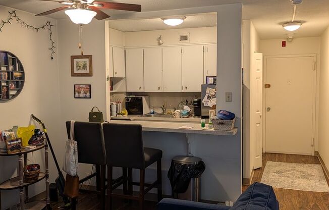 Studio, 1 bath, 431 sqft, $2,500, Unit 403