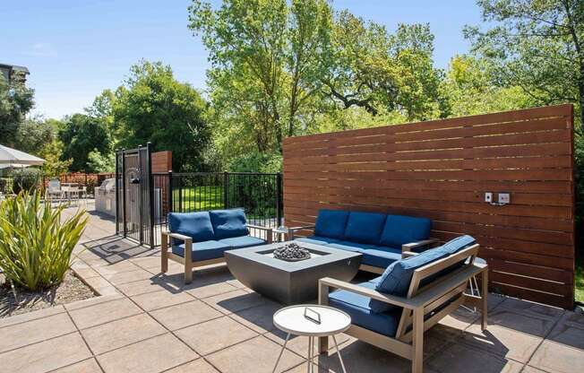 Firepit in the Pool Area at Renaissance Apartment Homes in Santa Rosa