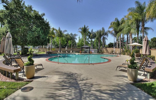 sparkling swimming pool at The Arbors at Mountain View, Mountain View, 94040