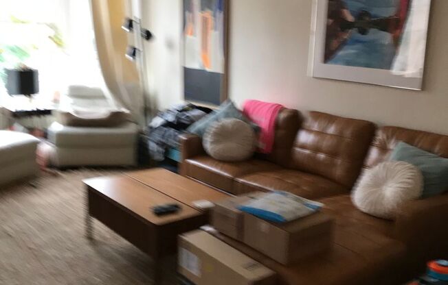 1 bed, 1 bath, 528 sqft, $1,200, Unit 306