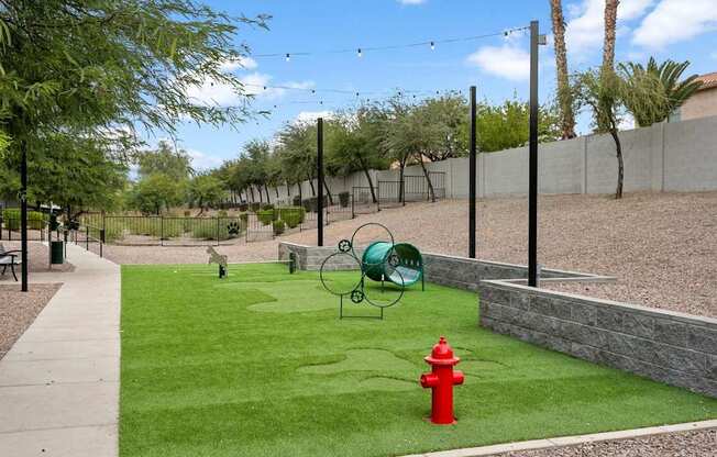 Dog Park at The Laurel Apartments, Arizona, 85286