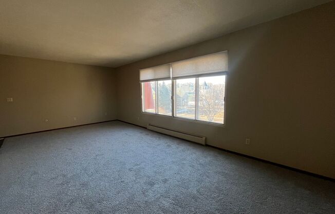 1 bed, 1 bath, 970 sqft, $970, Unit 310