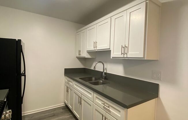 1 bed, 1 bath, 535 sqft, $1,895, Unit 1019-04