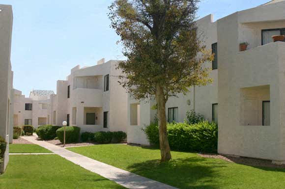 a white building with a tree in the middle of it