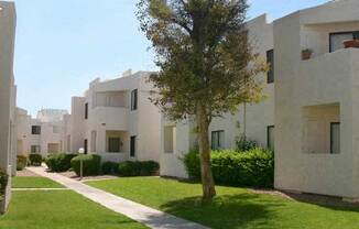 a white building with a tree in the middle of it