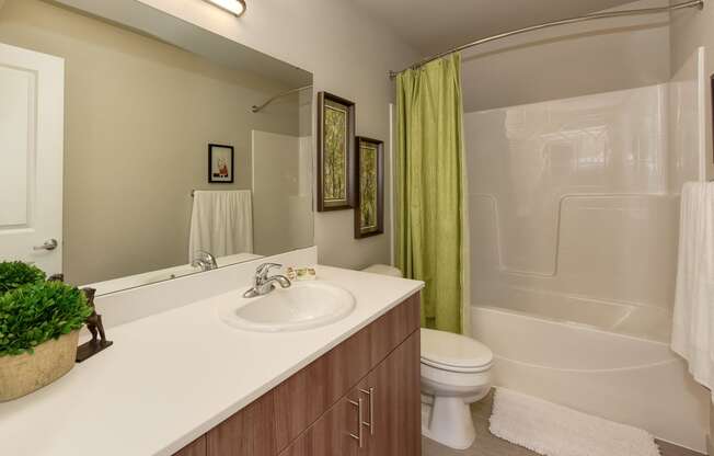 Bathroom with Cabinets, Wood Inspired Floors, Toilet and Lime Green Shower Curtain