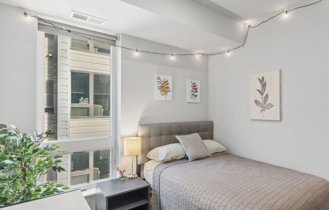 1 bed, 1 bath, 605 sqft, $1,525, Unit 201