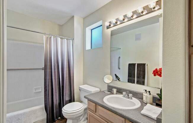 A well-lit bathroom here at Mirador showcasing a spacious vanity with light wood cabinetry, a wide mirror with bright overhead lighting, and a smooth countertop with an integrated sink. A full tub and shower combination with tile surround and curtain sits beside a frosted window, while wood-style flooring adds warmth to the space.