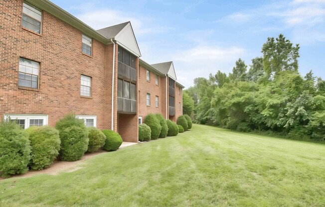 Professional Landscaping