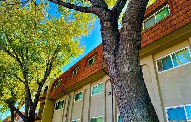 2 beds, 1.5 baths, 895 sqft, $1,445, Unit 141