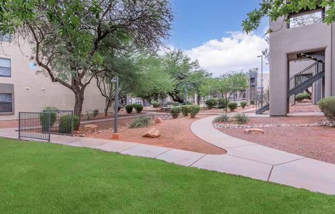 A tree in a yard with a building in the background.
