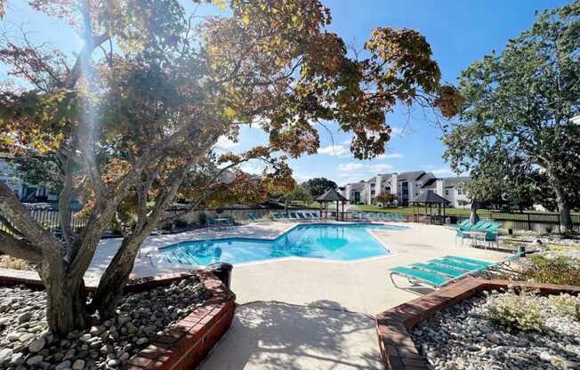 a swimming pool with a tree in the middle of it