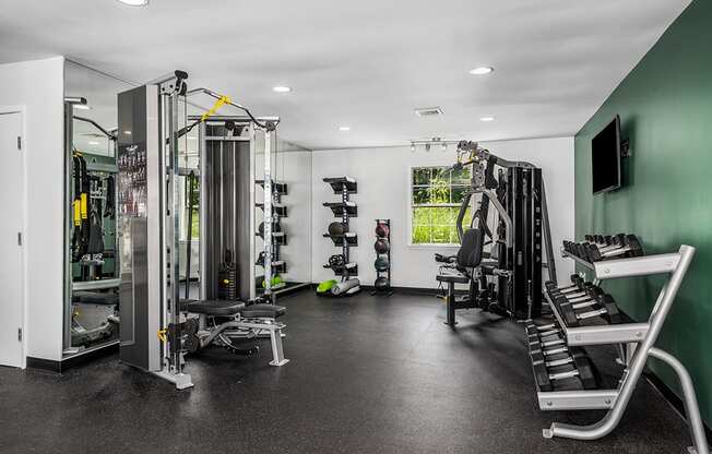 Strength Training Equipment & Free Weights At The Fitness Center