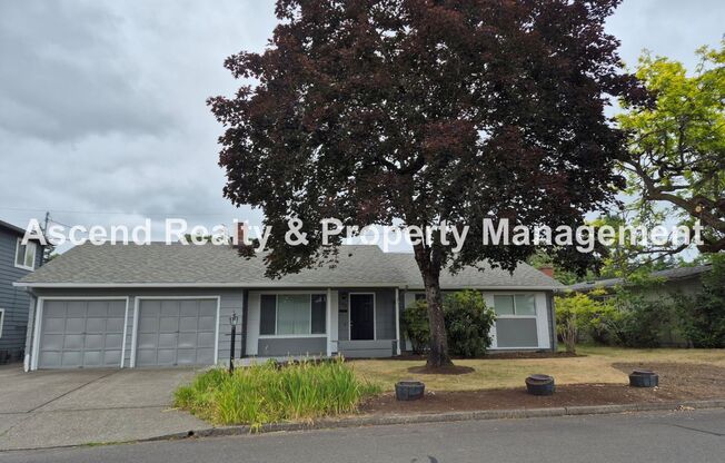 Available Now Prime Terra Linda Location One Level Home Large Fenced Yard & Attached Garage Walk Score 77 Top Rated Schools!