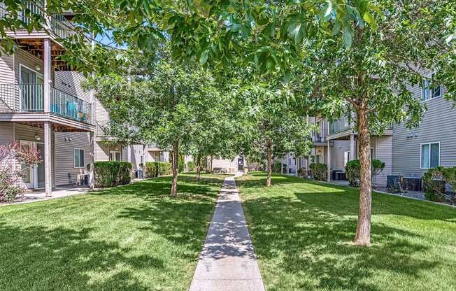 a tree lined sidewalk in front of a row of houses