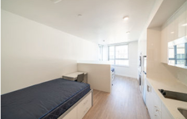 Studio, 1 bath, 345 sqft, $1,497.5, Unit 807A (shared female)