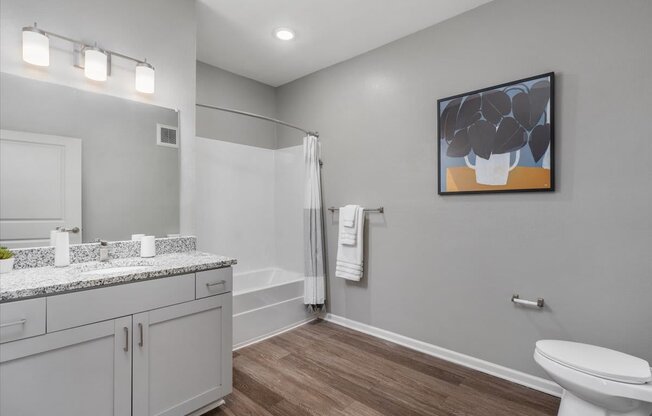 a bathroom with a sink and a toilet and a shower