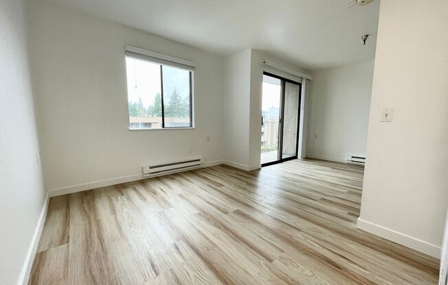 Studio, 1 bath, 480 sqft, $1,450, Unit 316