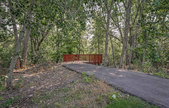 A bridge made of wood is in the middle of a forest.