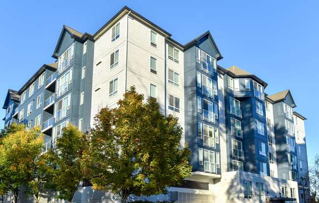an apartment building with a tree in front of it