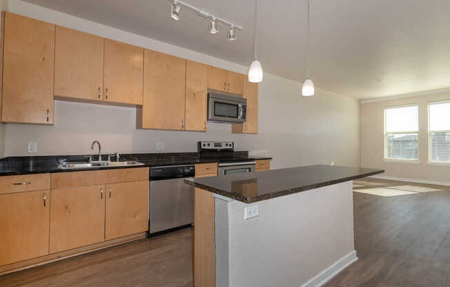 Kitchen and Living Area with Hard Surface Flooring