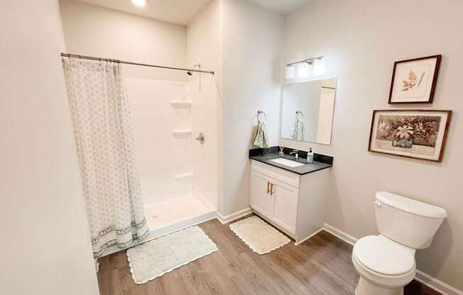 Pet-Friendly Luxury Apartments In Boiling Springs, SC - Grande At Geyser Falls - Bathroom with Walk-In Shower