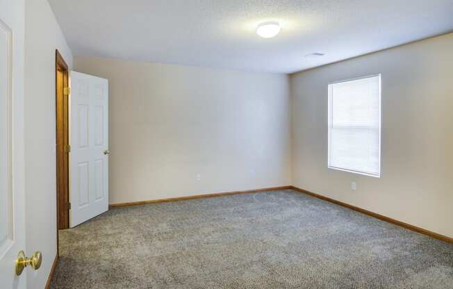 carpeted room with large window