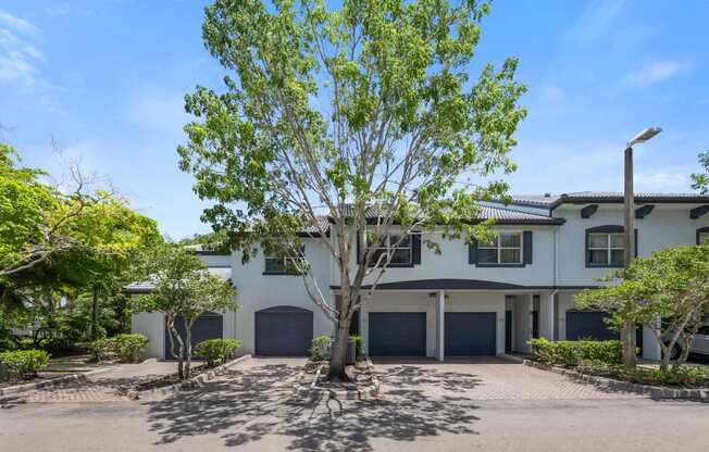 a white house with a driveway and a tree in front of it
