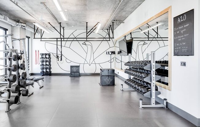 Fitness area with Alchemy365 equipment and programming