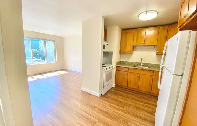 1 bed, 1 bath, 495 sqft, $1,595, Unit 203