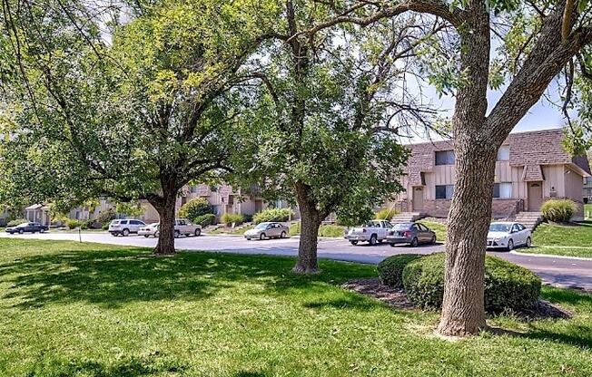 a city street with trees and cars on it