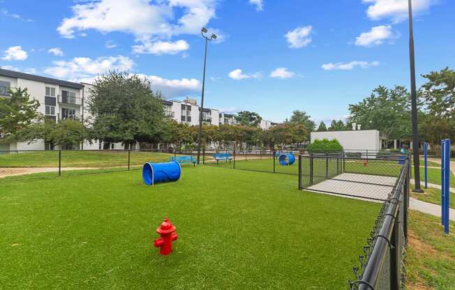 Dog Park with A red fire hydrant sits on a green lawn