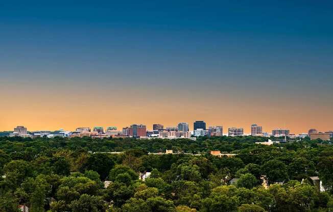 a view of the city skyline from above a forest of trees